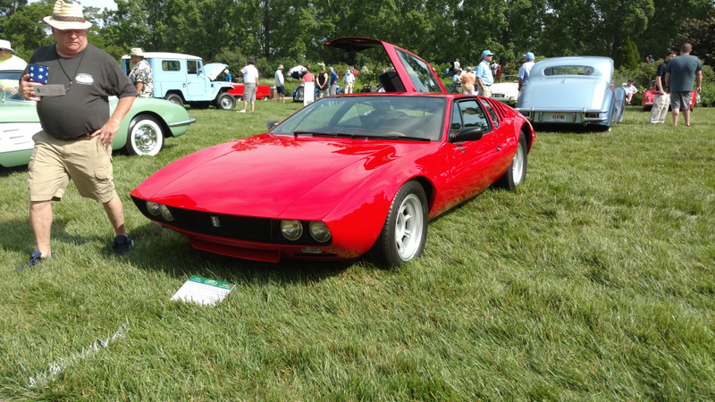Mangusta